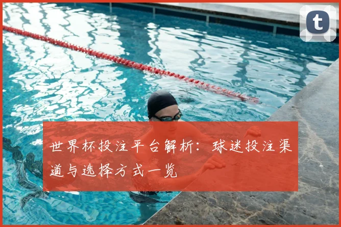 世界杯投注平台解析:球迷投注渠道与选择方式一览