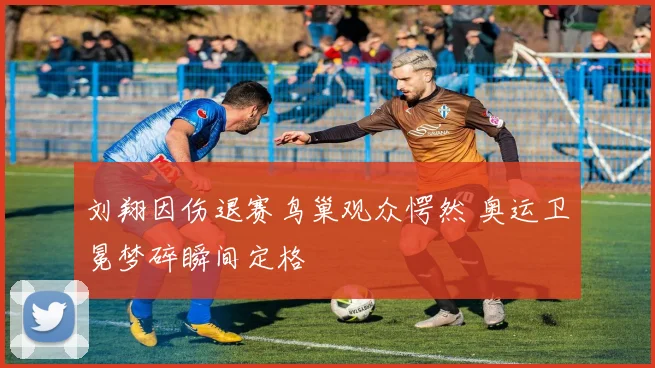 刘翔因伤退赛鸟巢观众愕然 奥运卫冕梦碎瞬间定格