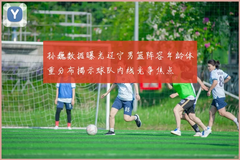 孙巍数据曝光辽宁男篮阵容年龄体重分布揭示球队内线竞争焦点