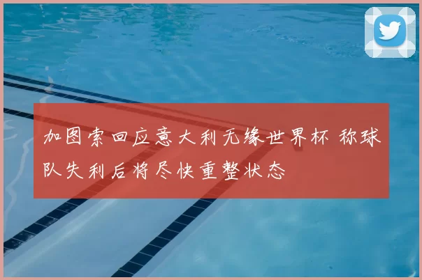 加图索回应意大利无缘世界杯 称球队失利后将尽快重整状态