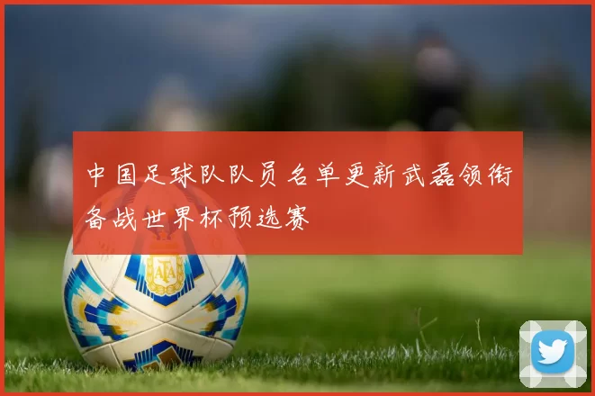 中国足球队队员名单更新武磊领衔备战世界杯预选赛