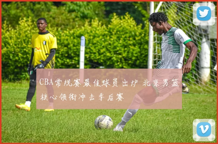 CBA常规赛最佳球员出炉 北京男篮核心领衔冲击季后赛