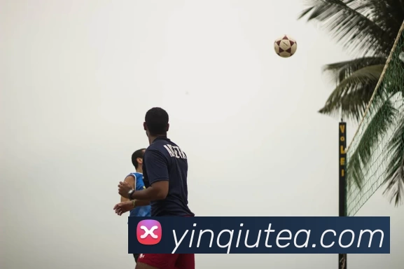 开云·官方端网页版登录入口 - 开云(中国)APP 体育赛事宣传图